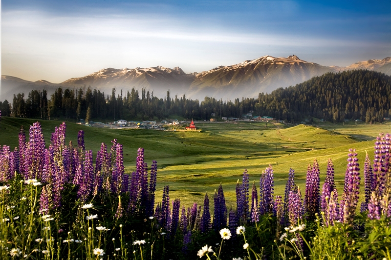 Splendid Hues of Kashmir